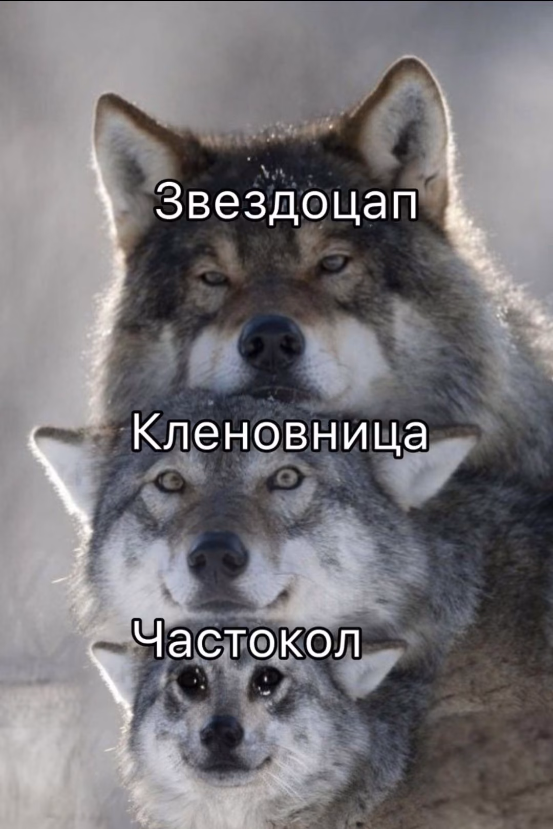 faae0f94f277f274be454a2b21f6a248.avif