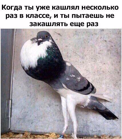 fac1b33bb58493326f84ae6e0f4cdbd4.avif