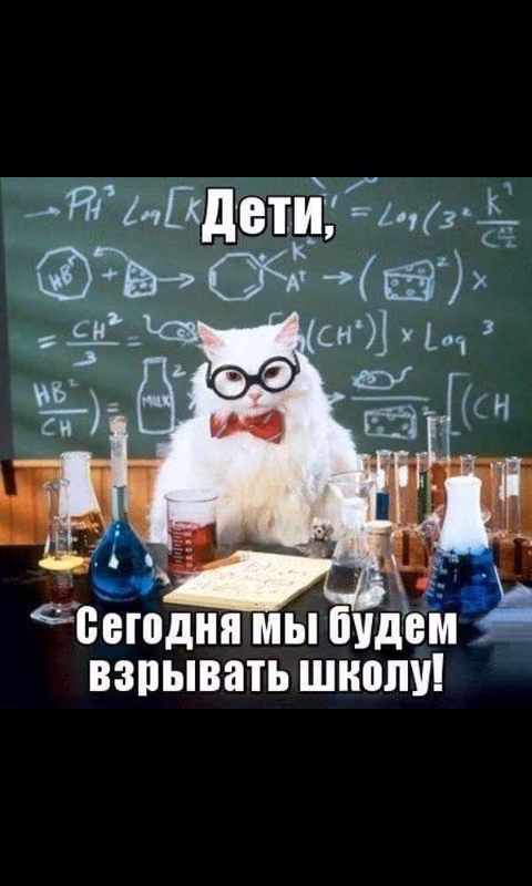 fadadb85fd6ac414f437b565e95bd646.avif