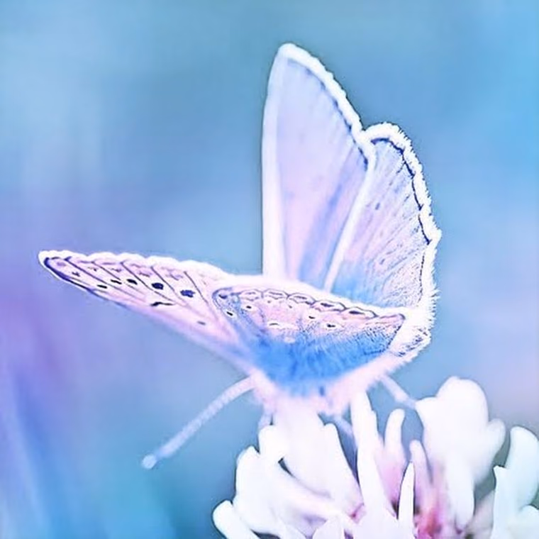 fb0f08e05f41ae622250ad38a0a0e52a.jpg