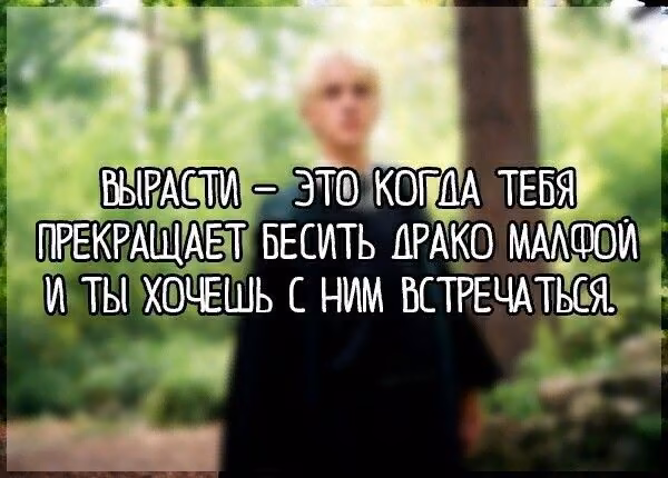 fb1a17a40ff153d96a909bd79e0743d2.jpg