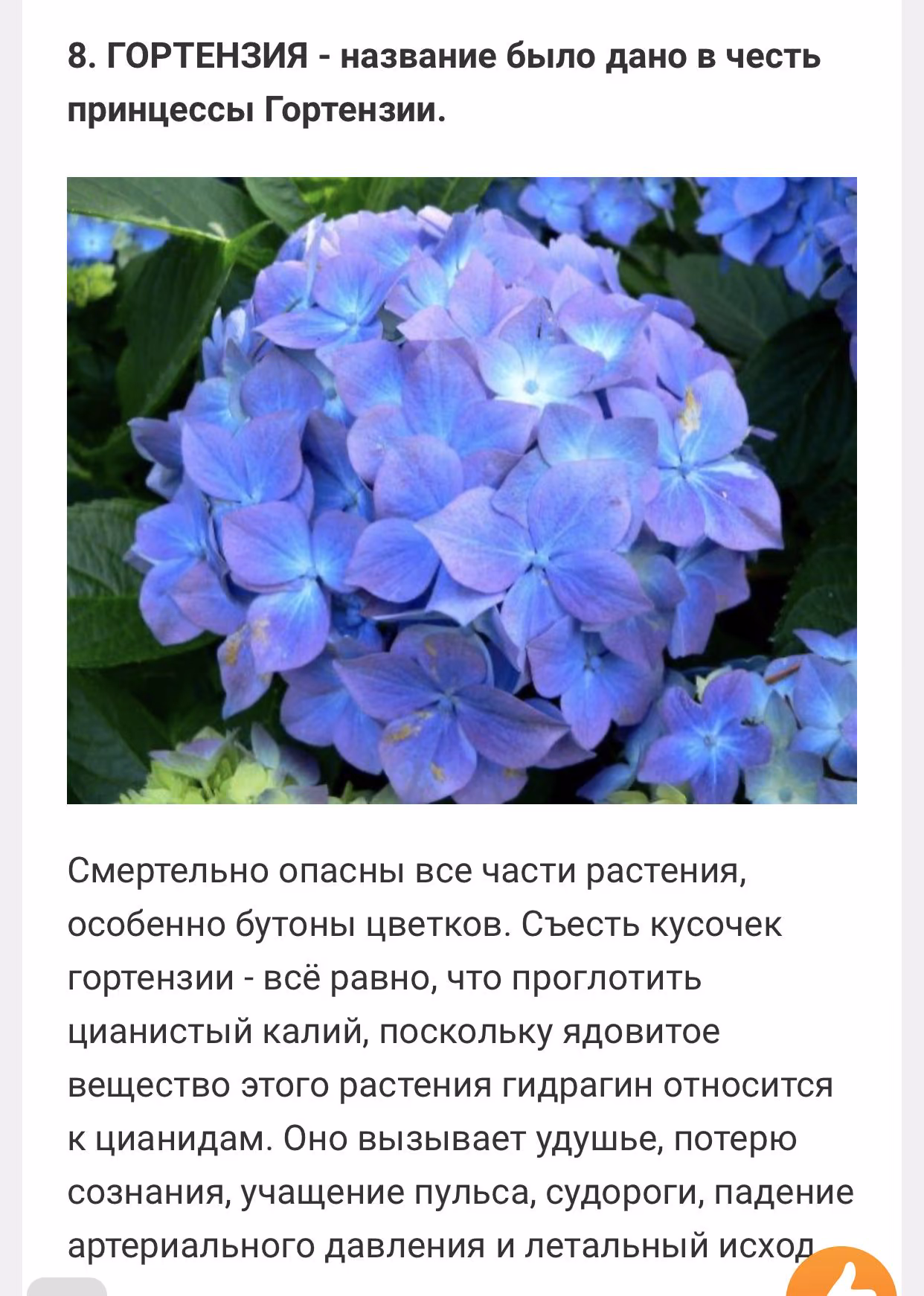fb26766a084af757660b77a752e13620.jpg