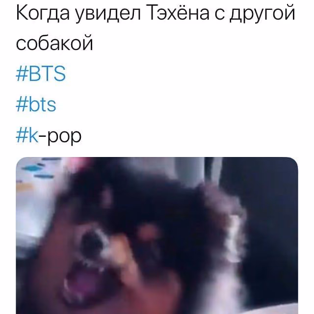 fb2a936d6fb5ec89f8d1fd5c16c89a6e.jpg