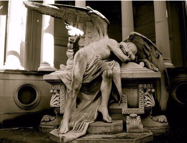 fb2ad84bc96f36a81f59974221132717.avif