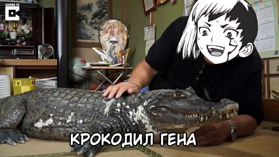 fb727ae7bce71c475bcd51b99059b7db.avif