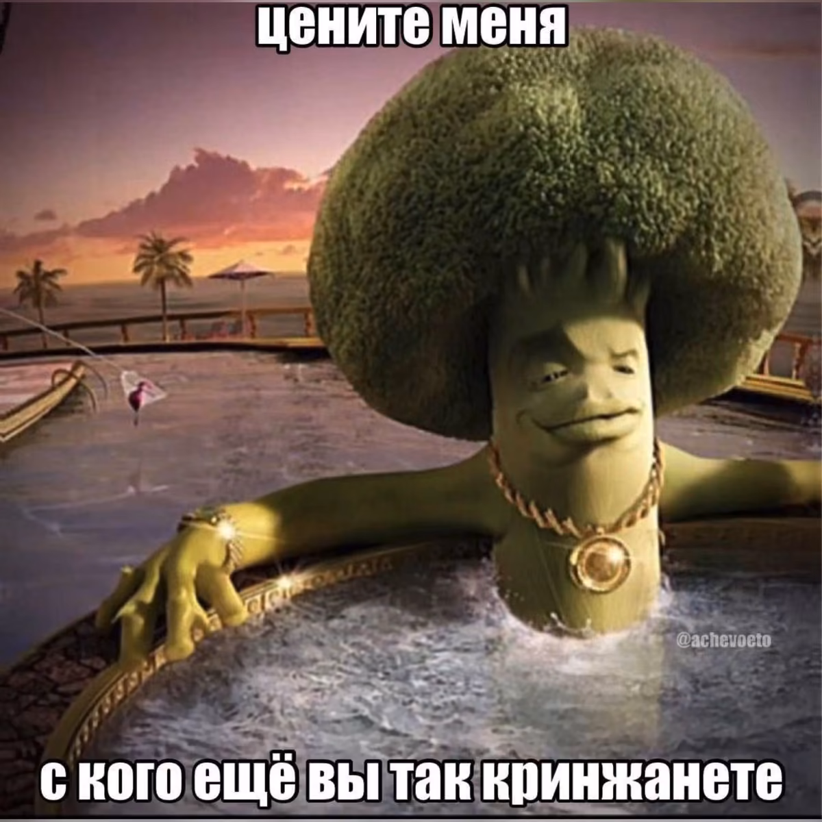 fb7afe875c14536887f75115c793baba.avif