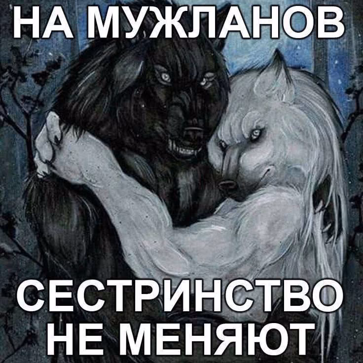 fb85e82812b979021e1b8f7073a4a9e4.avif