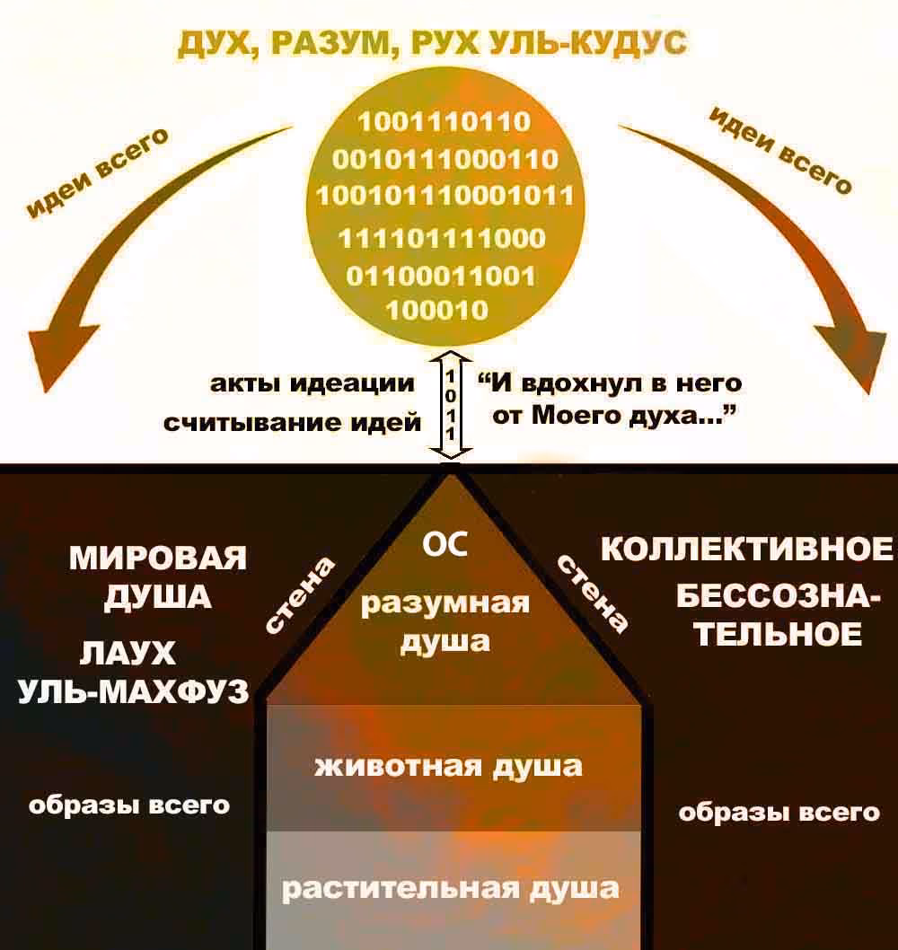 fb89f4cceeb2226cf8608049e95bb1b9.avif