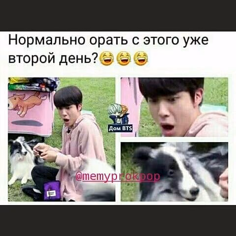 fb90305ee2a92d3dd29a83c00520ae70.avif