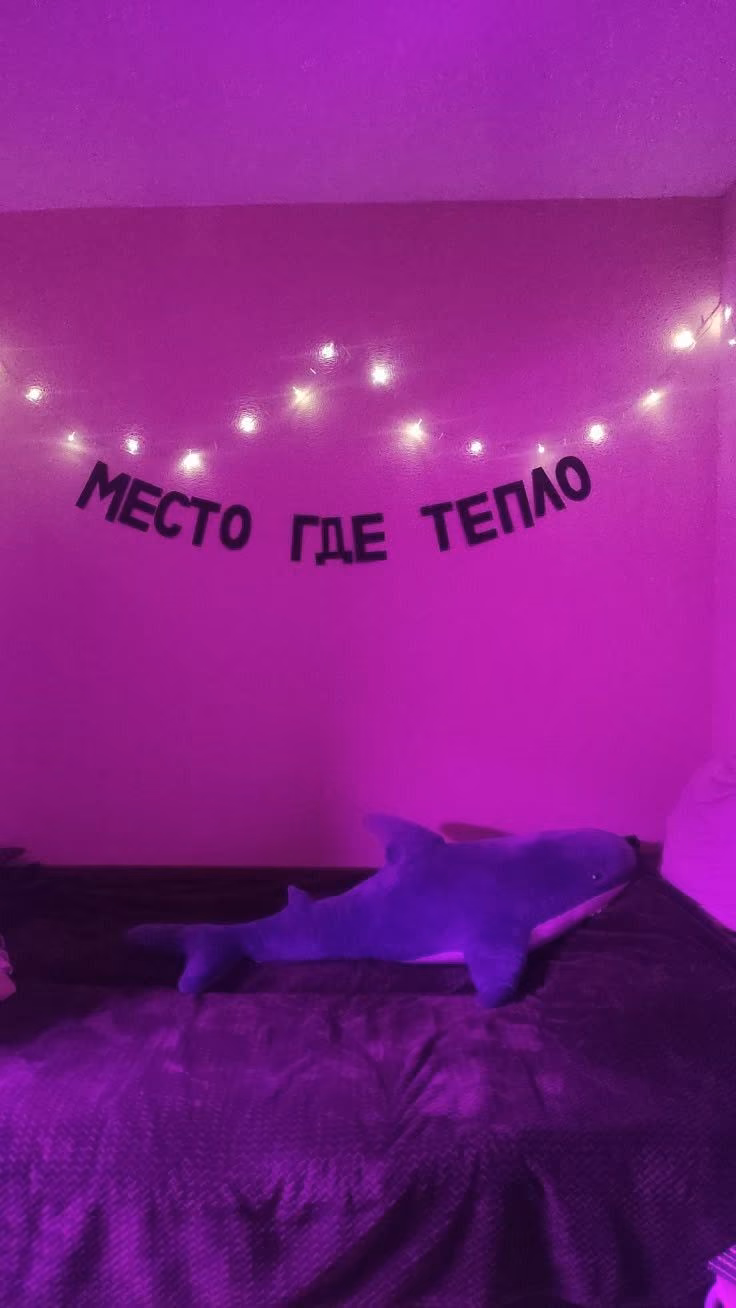 fb93c0f94cce23a3b5baf3c9a9c177a9.avif