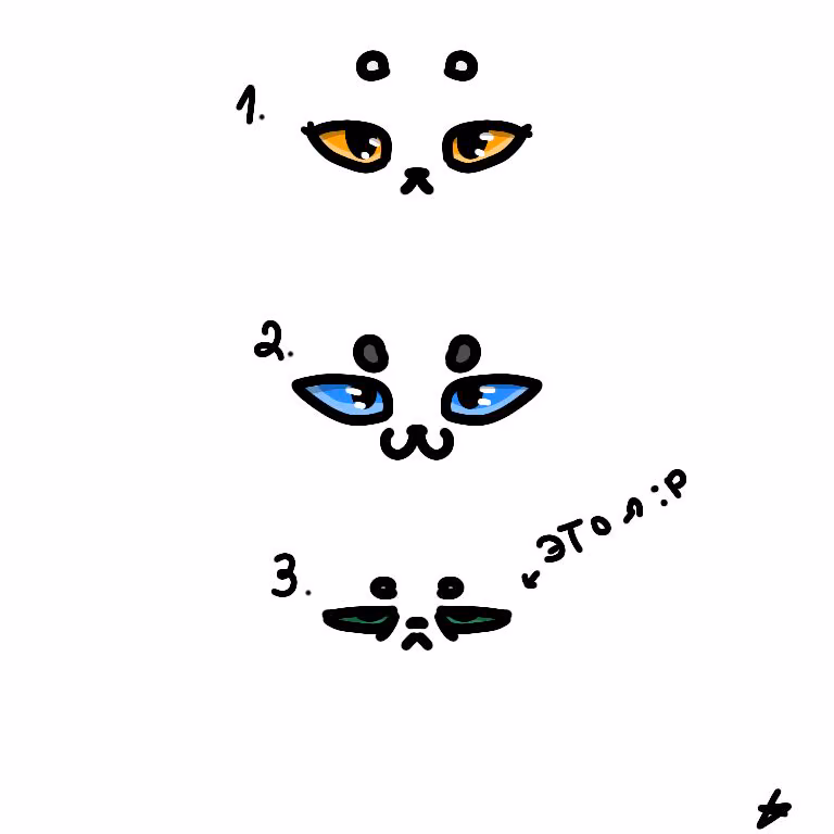 fba3cd5bcb407fa56cdc40bc17640fe0.jpg