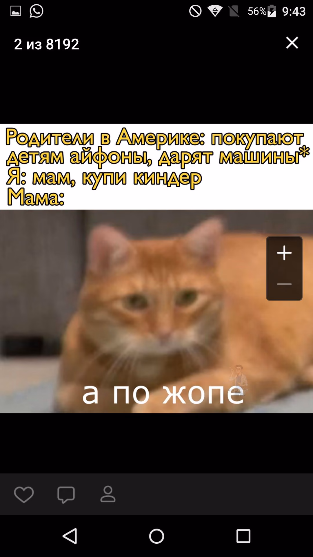 fbebf906a9d49532a5fc02351a5a8b0e.jpg