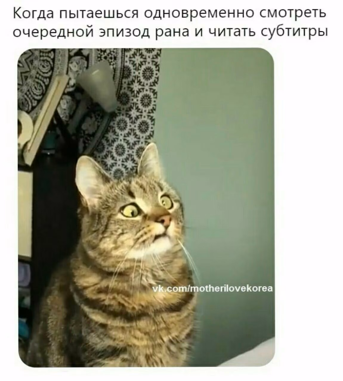 fbfb9c974246a7a1a5885cffd77ef700.avif