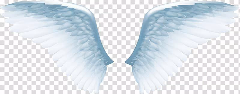fbffd24f55317959cd280cbbdf78d88c.avif