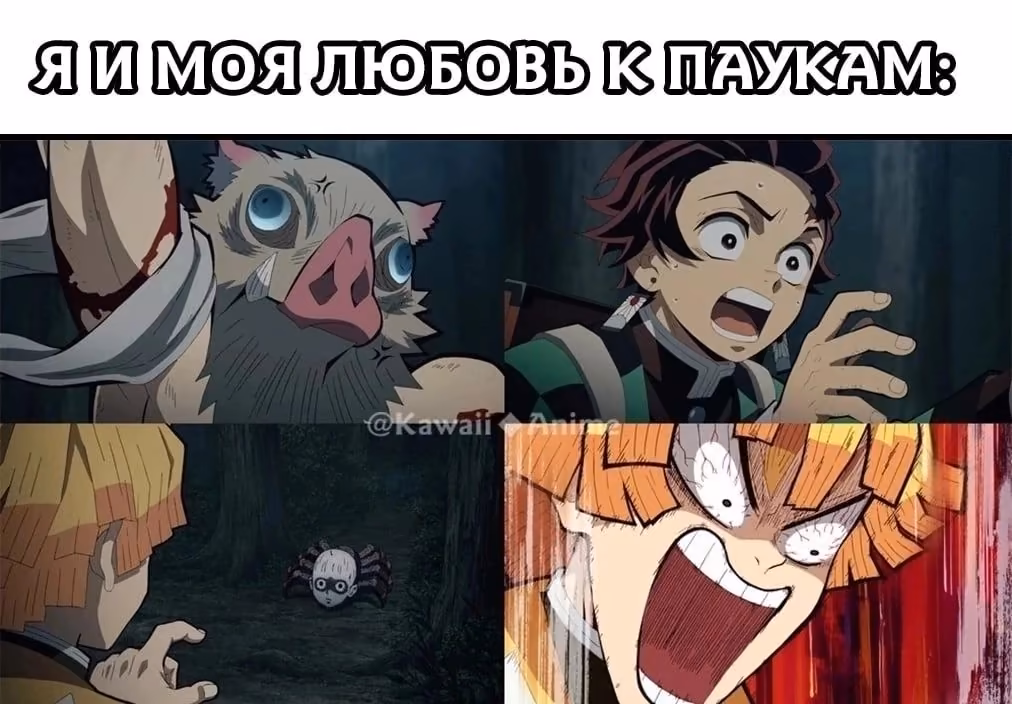 fc0ba62d16bc2210a4057f7d269f06a4.avif