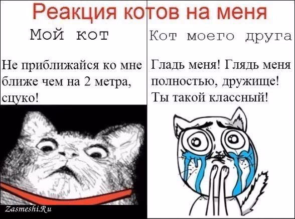 fc163a97ff9f3549d9fdddb0f5183222.avif