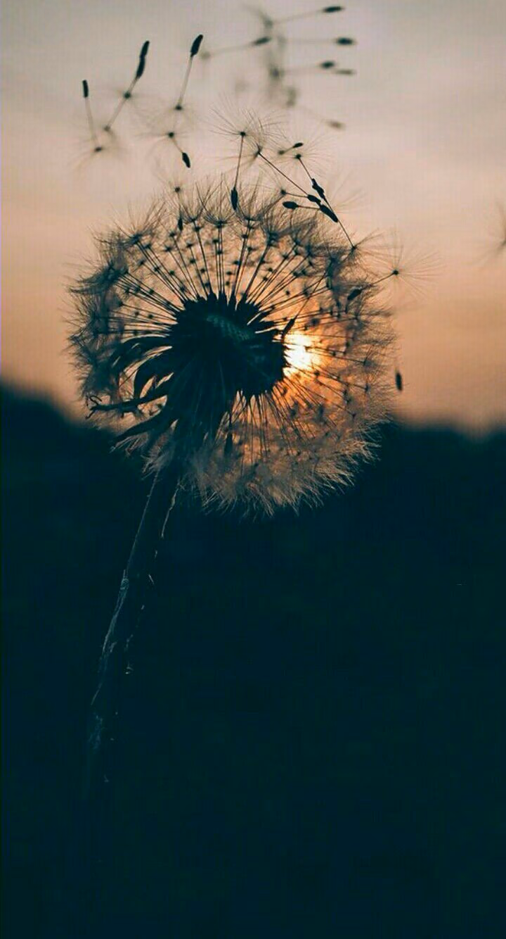 fc20ec232fbdbbe3347b136cc2767fb4.avif