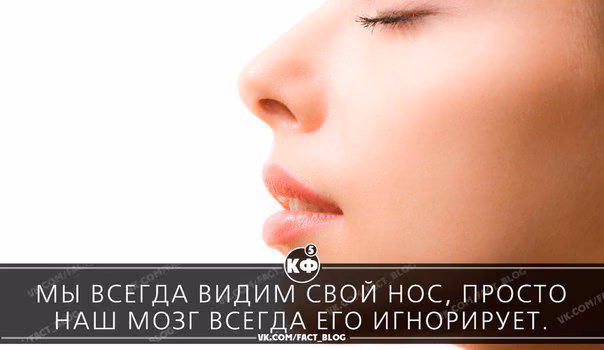 fc2119c6ee43a37e0fb72c1654f57052.avif