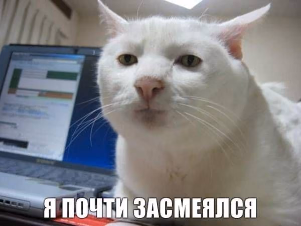 fc22b7fb1e3144ef74cae8a7f220857d.avif