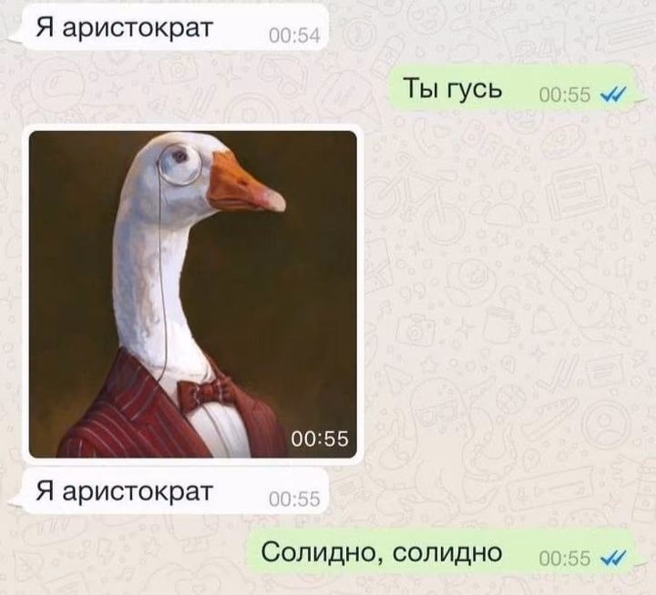 fc2442928dbf65b8ddc3ee067a8c08f7.avif