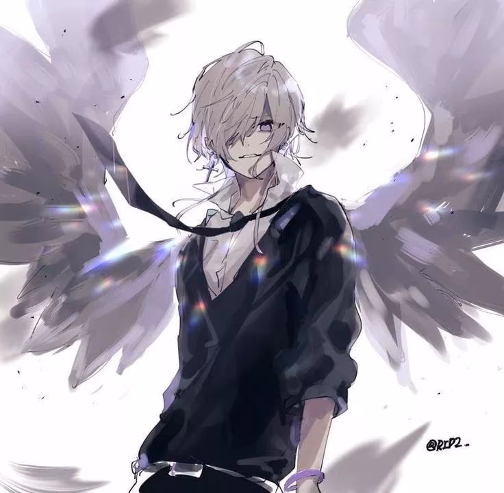 fc422124d729348d8094e35c156ec479.avif