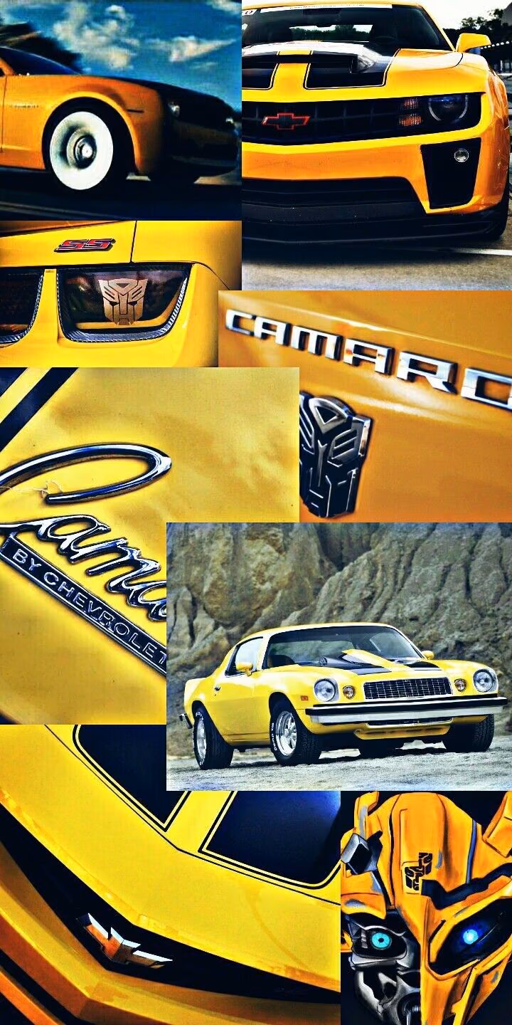 fc46f162f503c4597a2b5734e506249c.avif