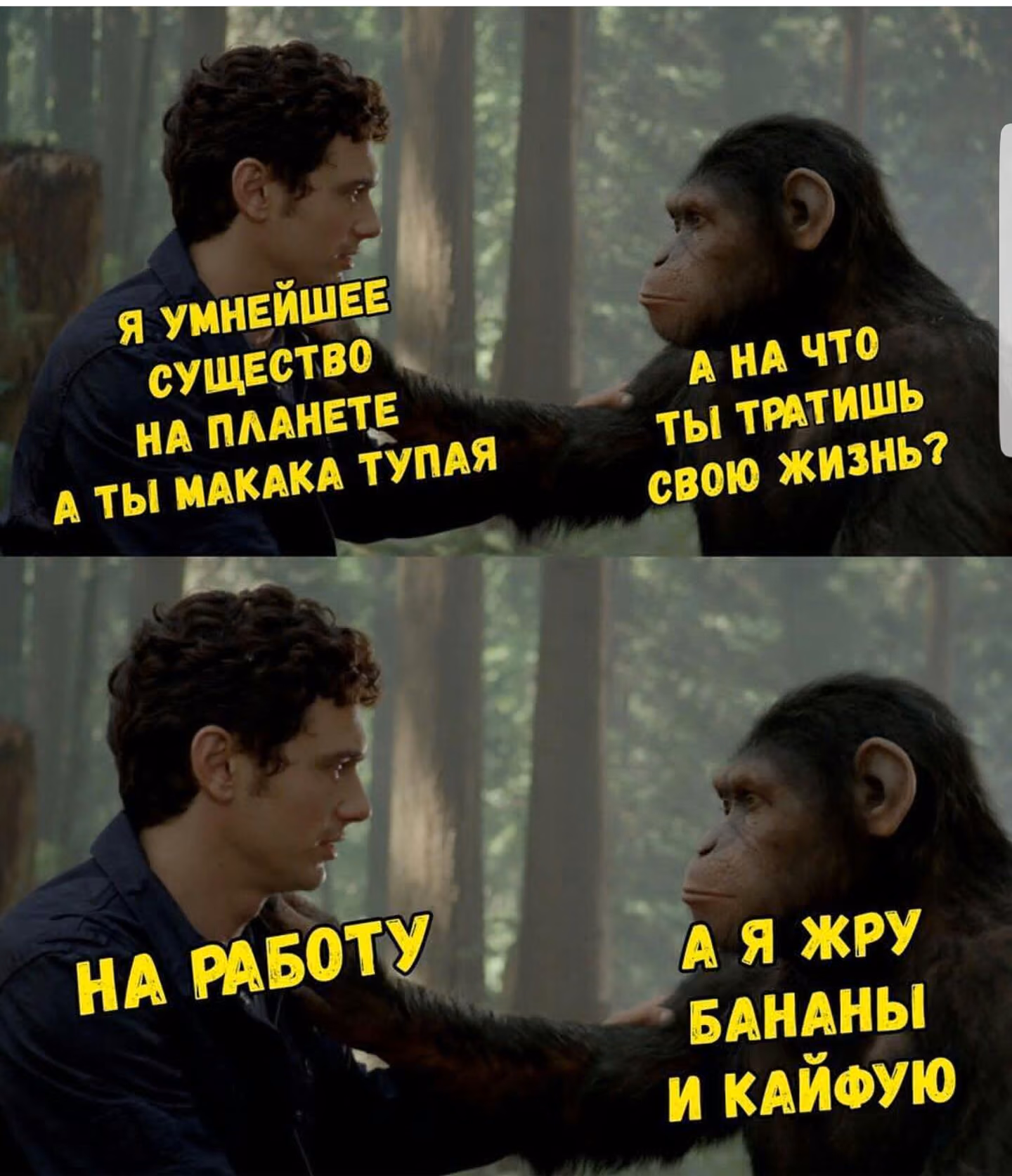 fc4710d426d8f1d682c2d54da46dc7b6.avif