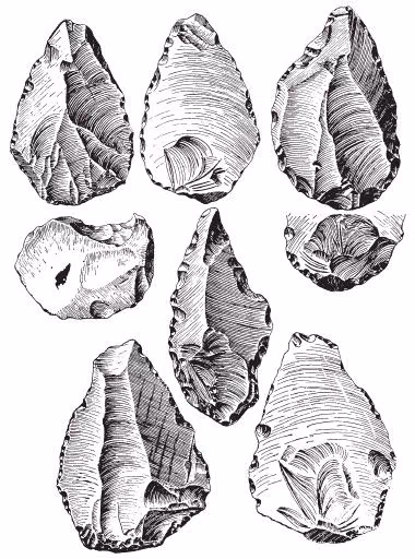 fc47548403761488417932f50ab6e338.jpg