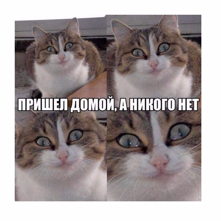fc61b1dd06e5ac14f3fe5d67d9c3a257.jpg