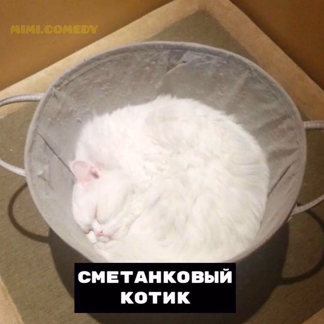 fc6a132f87521e546205e9368f636aa8.jpg