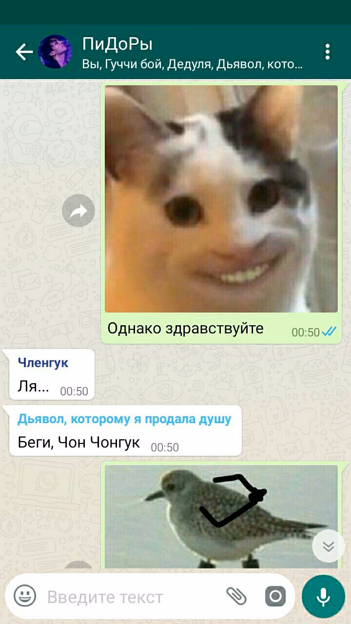 fc733881531a2002c5dd6674b97a4680.avif