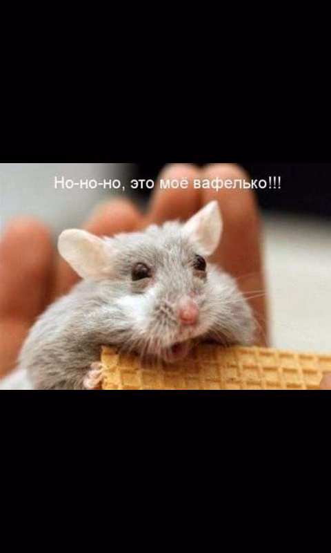 fc7a66193ee2cd46f335d864b72d4918.avif