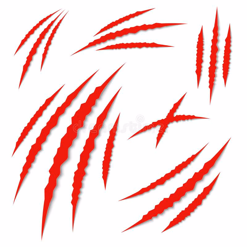 fc7b2eb8b9998d7566bd42fc3deebd50.avif