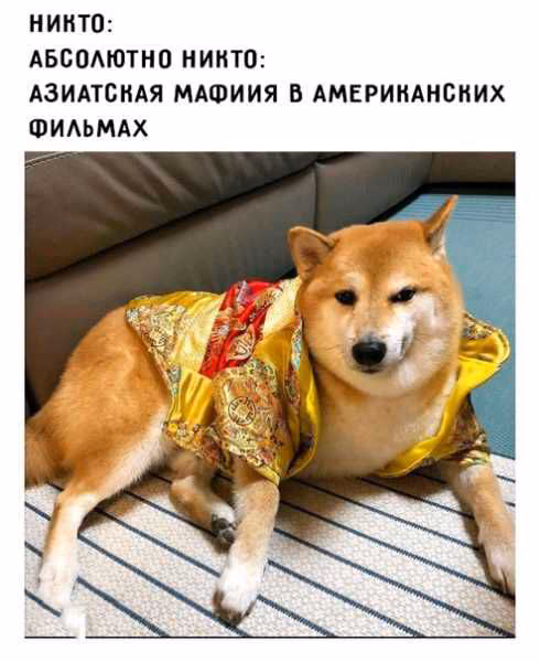 fc7f1f8d082e72d552fb30280c916d1d.avif