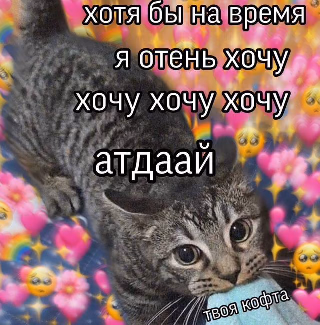 fc95bc323f88c57a7527faeceae9ee0e.jpg