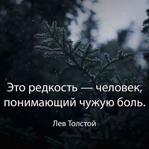 fcdbfe759896222119318011d1bbc983.jpg