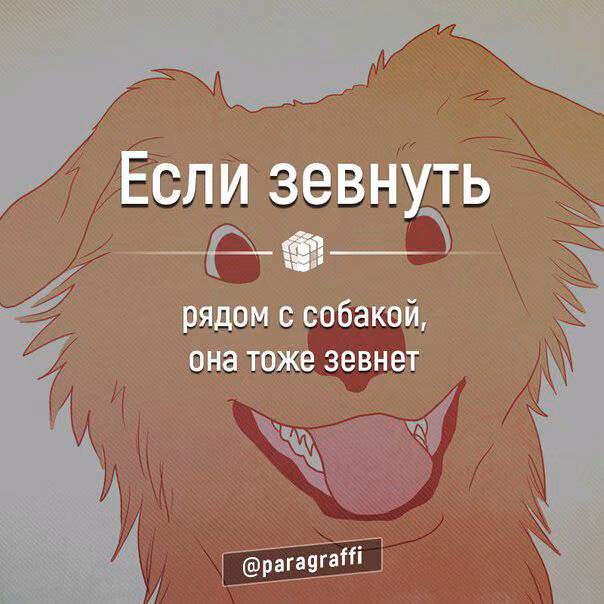 fce704281d887bf571202412ac7890cc.avif