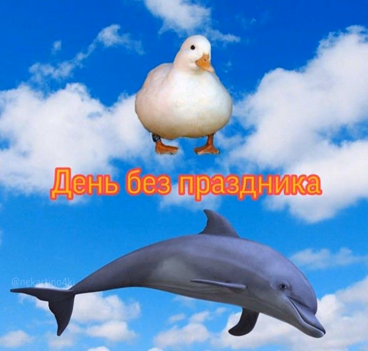 fcec9fc7ca00c3ff7b08b68c43e69a57.jpg