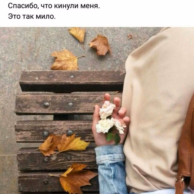 fd232360fce0a001614567ec58df973e.jpg