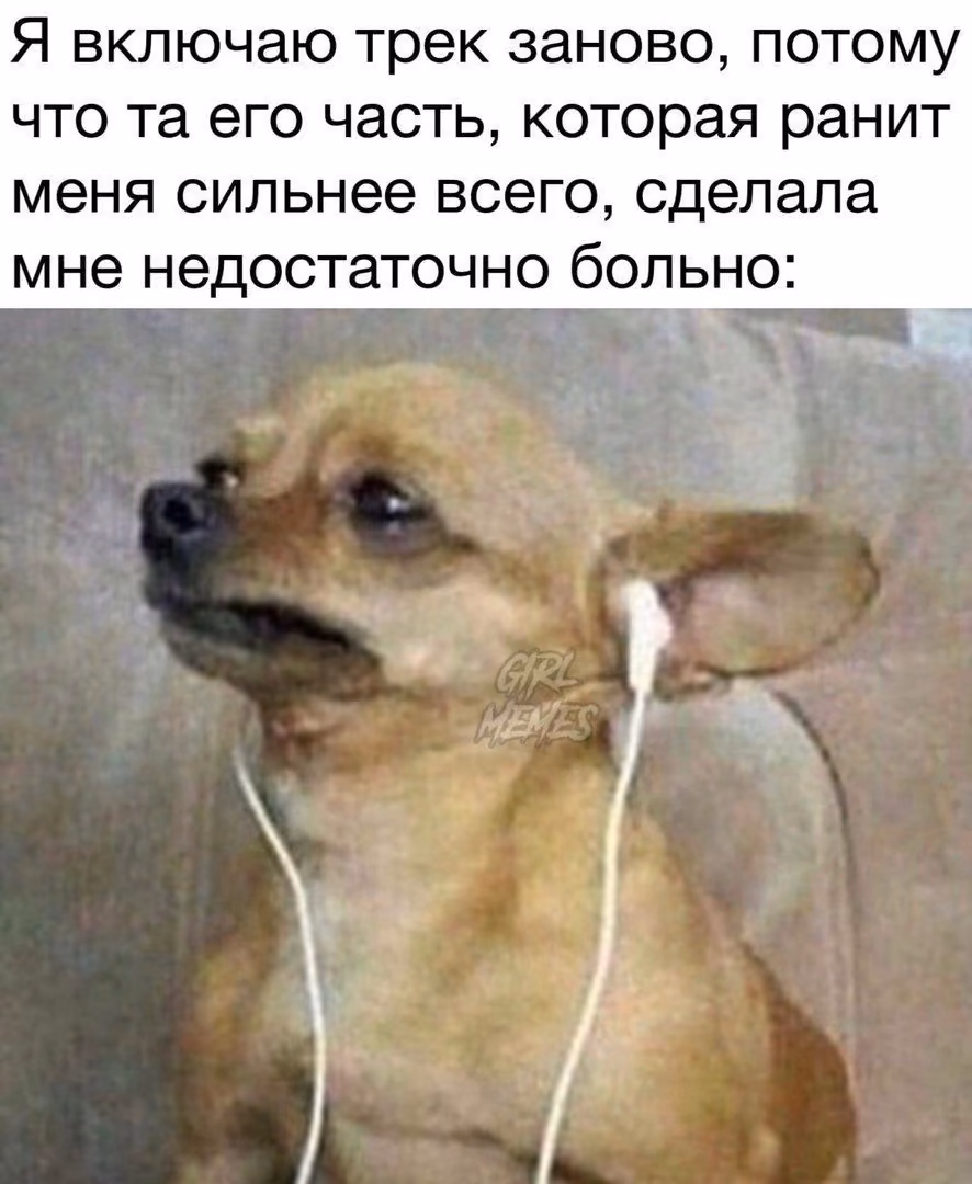 fd28e822436ab782524e9e1c824cef2c.avif