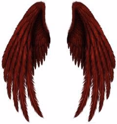 fd3136058e123fa7e04230dc885a1868.avif