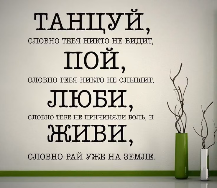 fd72fd31fa44a3caf492103c40c56abf.avif