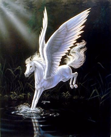 fd7e0915b7fe1dc29b0501f63b9975c6.avif