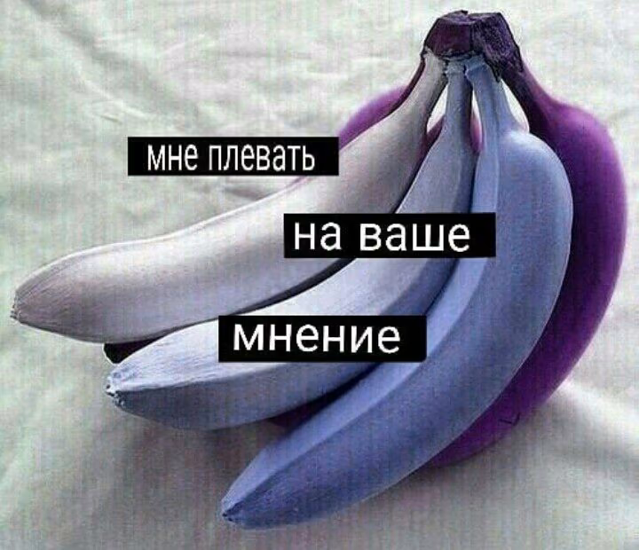 fd7ec2dbf59d3bc3f2aee6b28acc97a9.avif