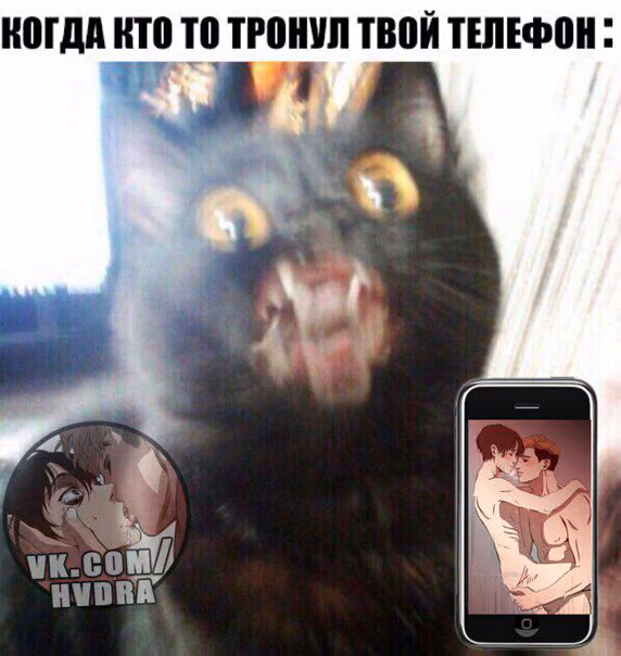 fd81e292d3082fece7fc568f8b8eeb67.jpg
