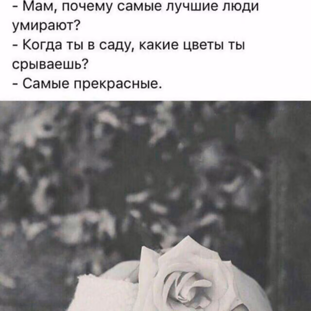 fd9800022647b3d99f18435cf7b142bc.jpg