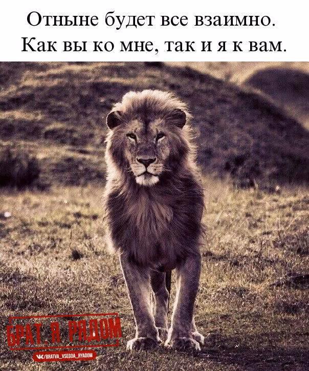 fda31ceaabc7ce9d9b98d1b7812725cf.jpg