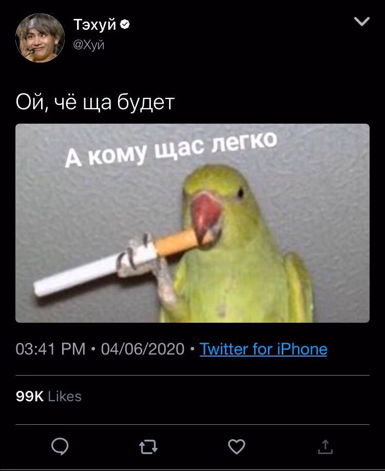 fda6551e1d5b044298a80bafc54647de.avif