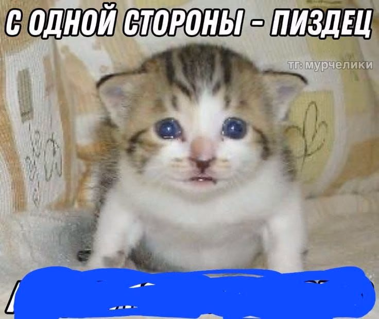 fda9e3ae91fffb9a949ee4e1b0c9a18b.jpg