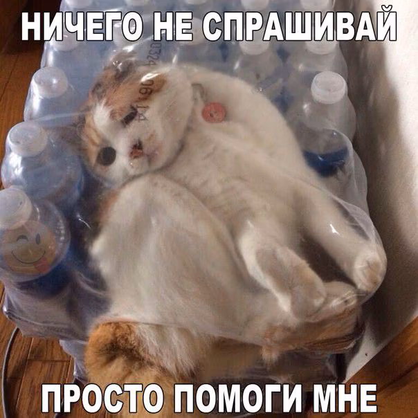 fdd569d96772d9f546125c08bd37db1a.avif